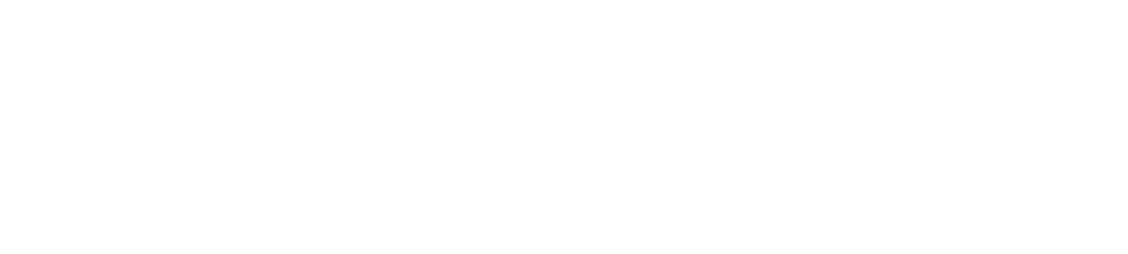 Domnick+Mueller GmbH + Co. KG Logo