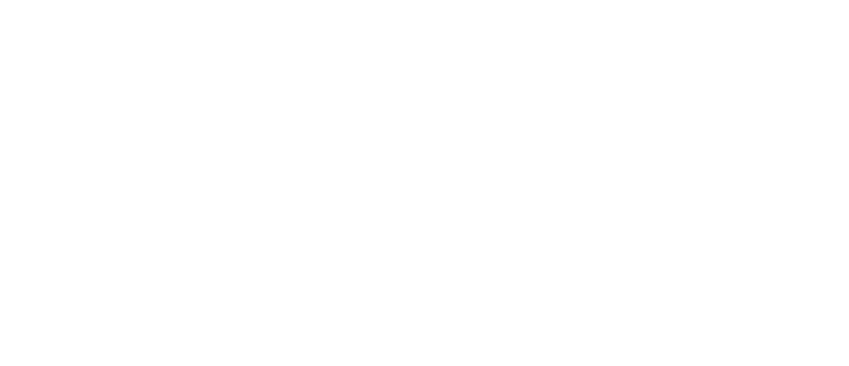 Domnick+Mueller GmbH + Co. KG Logo