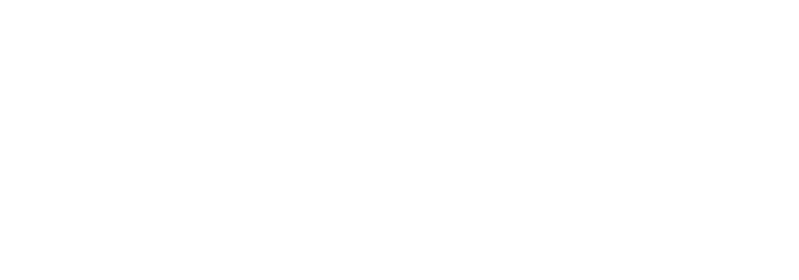 Domnick+Mueller GmbH + Co. KG Logo